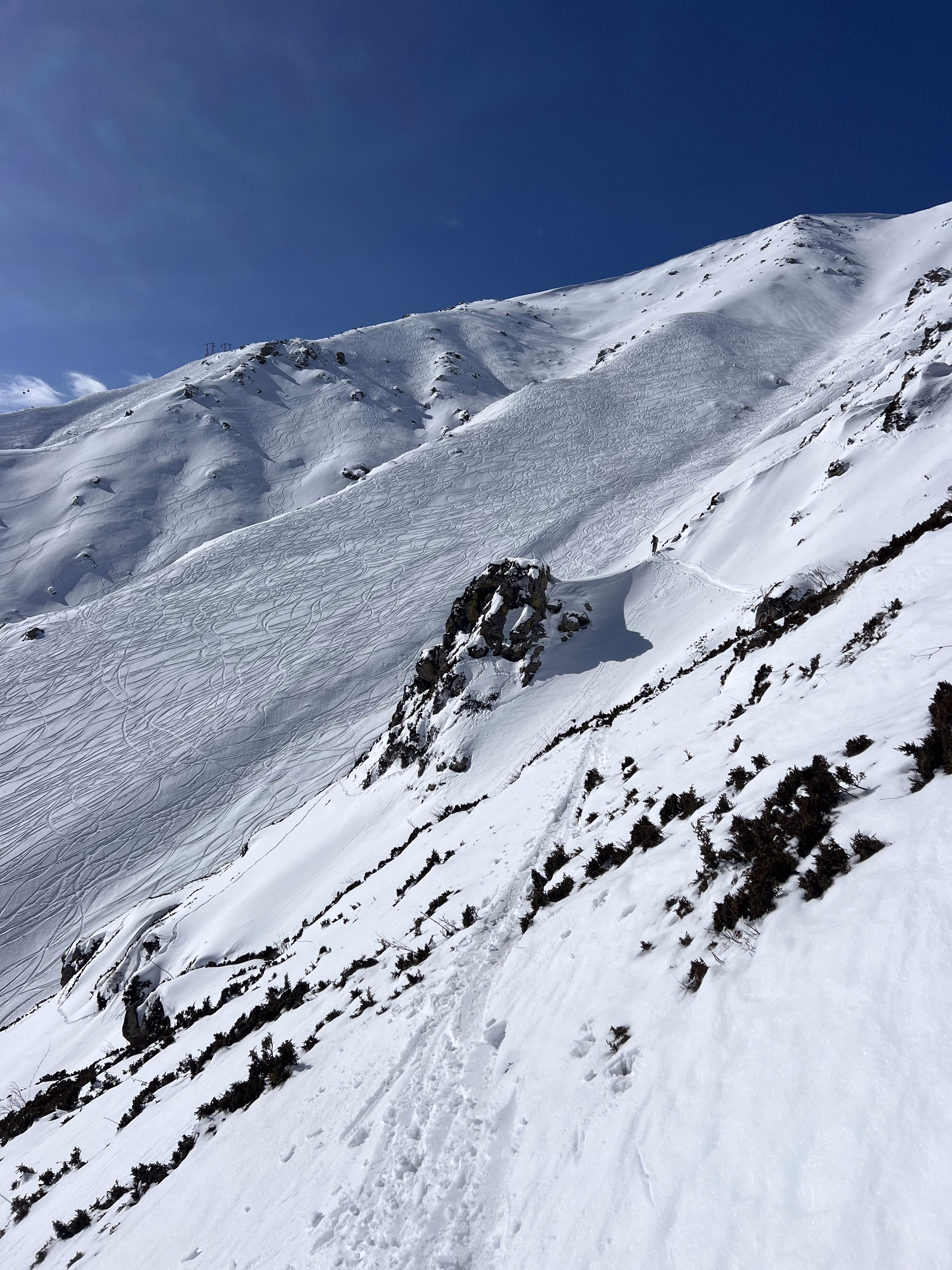 Skier throwing up powder on an untracked freeride line
