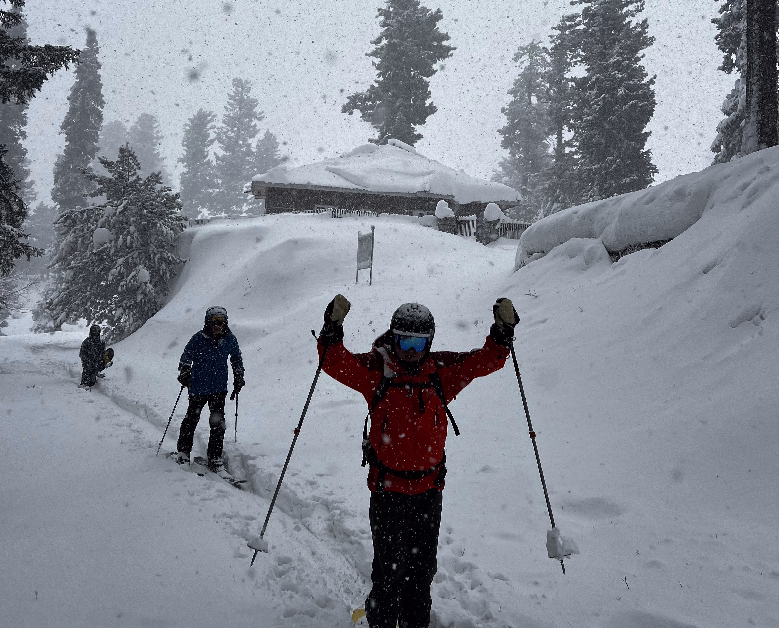 Gulmarg gondola cabin rising over snow-covered pines towards Kongdoori